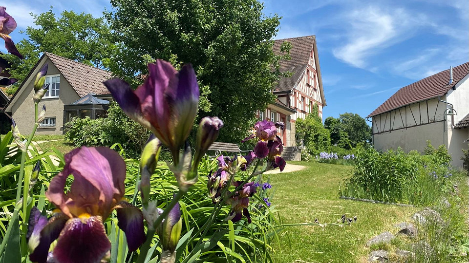 
        Hesse Museum Gaienhofen
        Bild 1
