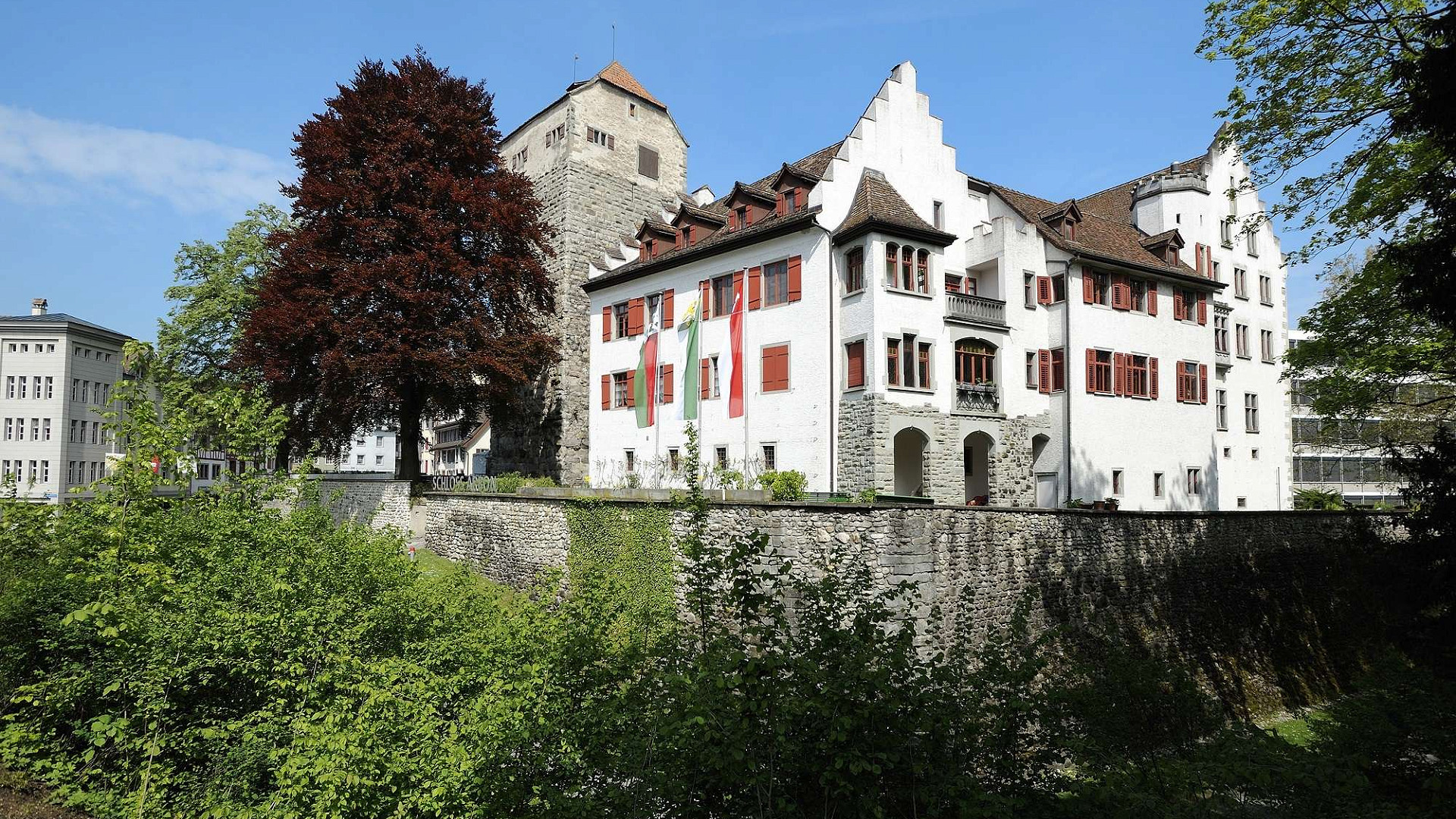 
        Historisches Museum im Schloss Arbon
        Bild 1