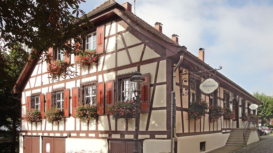 
        Archäologie-Heimatmuseum Allensbach
        Bild 1