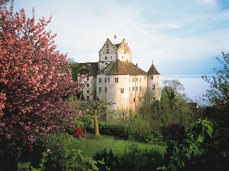 
          Burg Meersburg (Altes Schloss)
          Bild 1