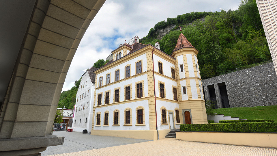 
        Liechtensteinisches LandesMuseum
        Bild 1