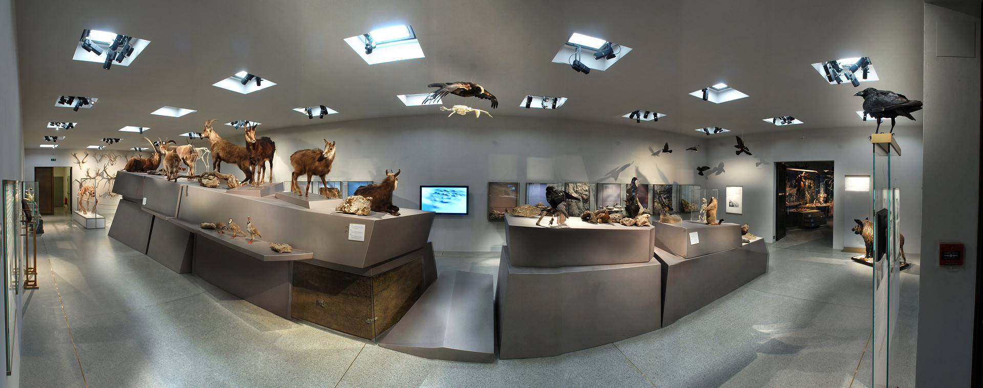 
            Liechtensteinisches LandesMuseum
            Bild 2