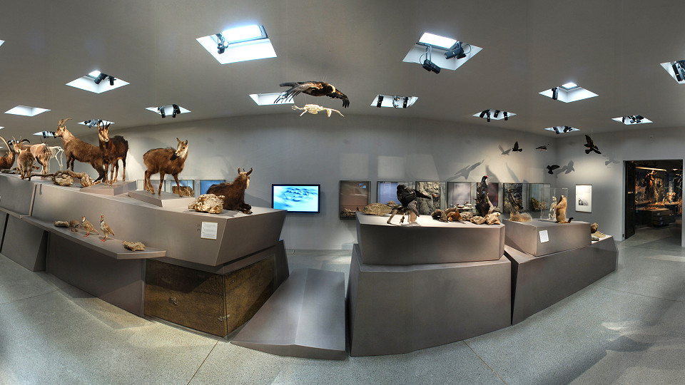 
        Liechtensteinisches LandesMuseum
        Bild 2