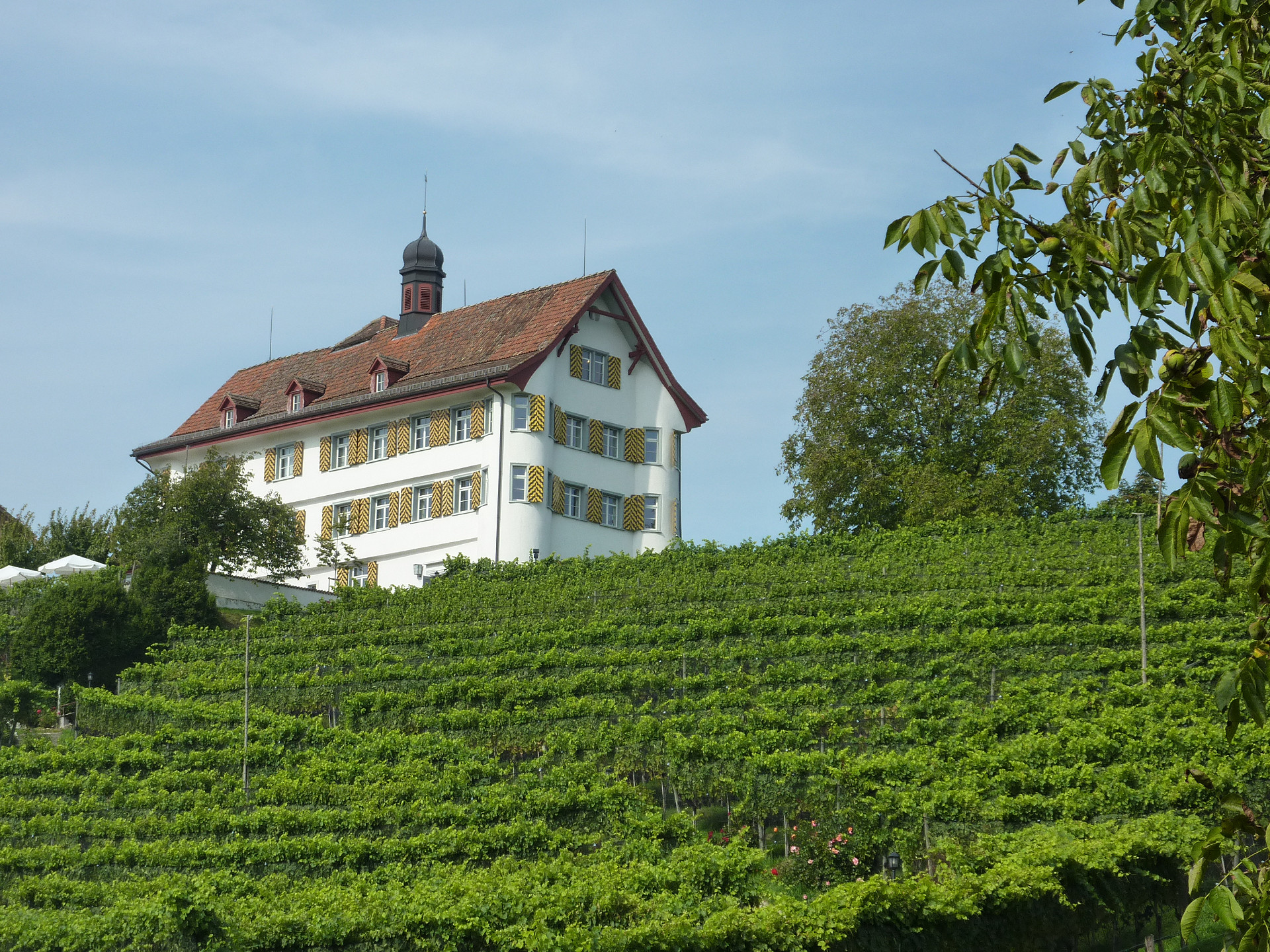 
          Museum Wittenbach Schloss Dottenwil
          Bild 1