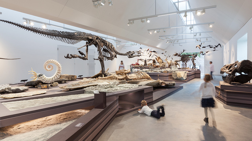 
        Naturmuseum St. Gallen
        Bild 2