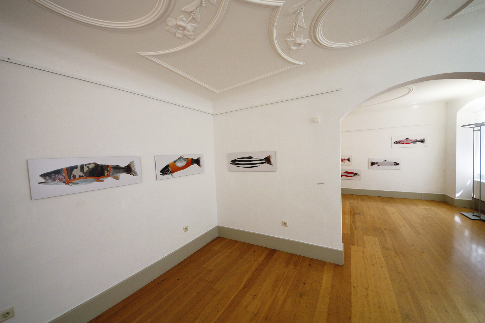 
            ROTEs HAUS Galerie Bodenseekreis
            Bild 2
