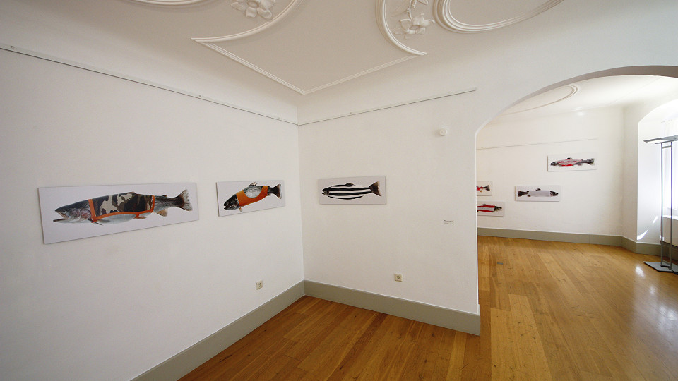 
        ROTEs HAUS Galerie Bodenseekreis
        Bild 2