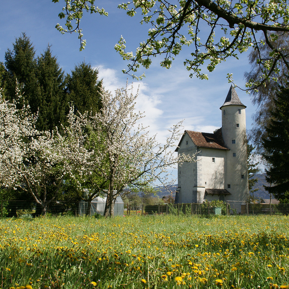 
        Textildruckmuseum Mittelweiherburg
        Bild 1