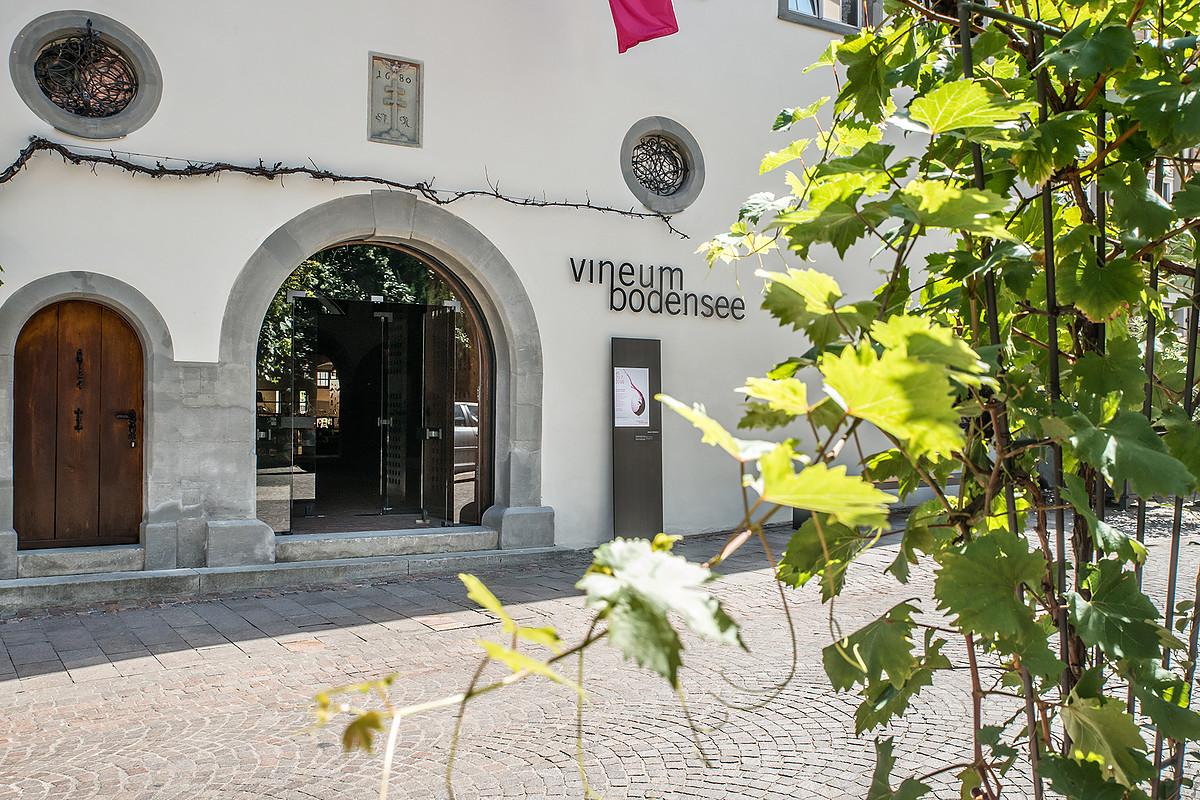 
          vineum bodensee
          Bild 1