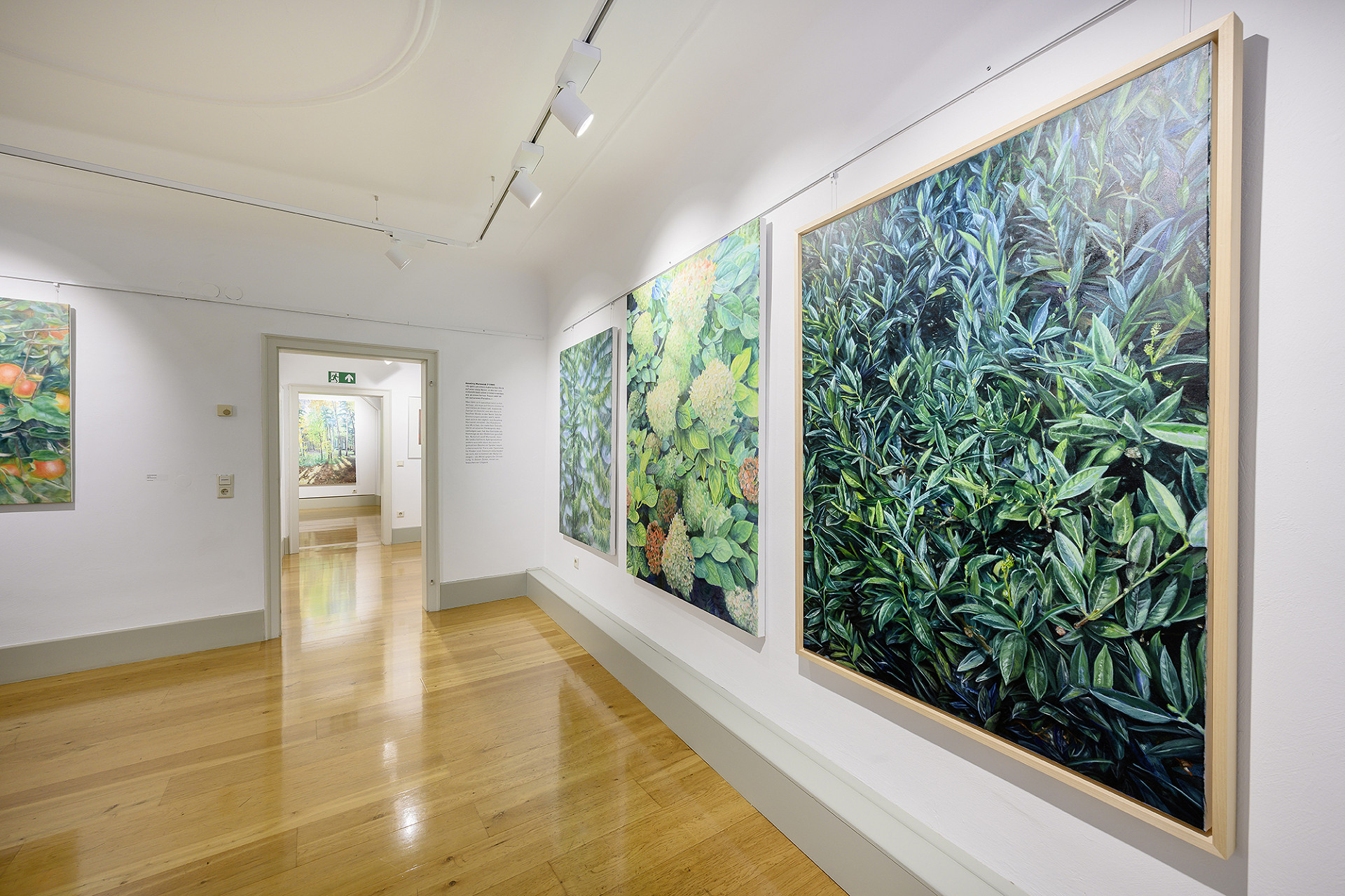 
            ROTES HAUS I MEERSBURG
            Bild 2