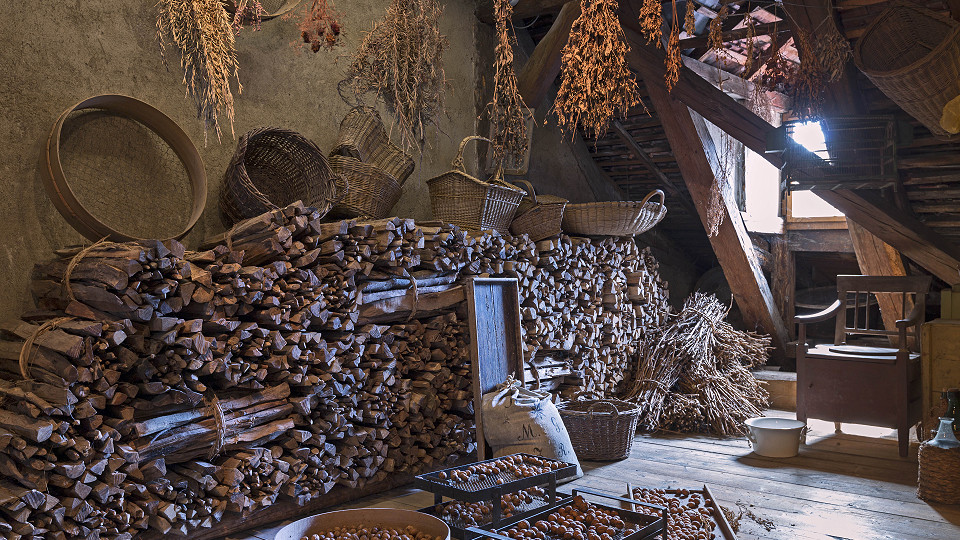 
        Museum Lindwurm
        Bild 2